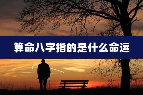 算命八字指的是什么命运