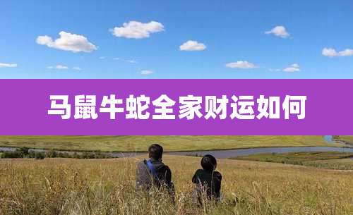 马鼠牛蛇全家财运如何