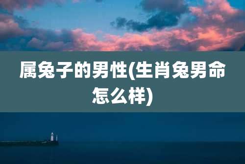 属兔子的男性(生肖兔男命怎么样)