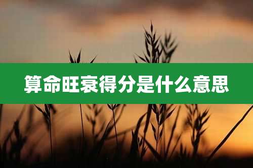 算命旺衰得分是什么意思