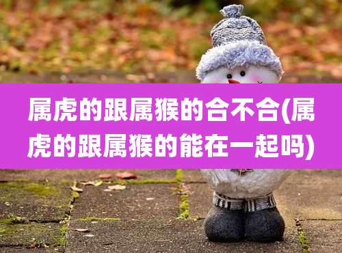 属虎的跟属猴的合不合(属虎的跟属猴的能在一起吗)