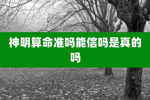 神明算命准吗能信吗是真的吗
