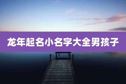 龙年起名小名字大全男孩子