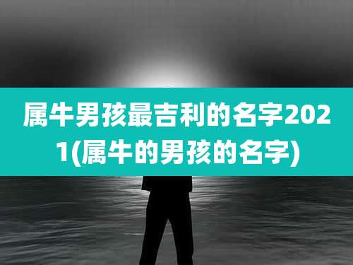 属牛男孩最吉利的名字2021(属牛的男孩的名字)