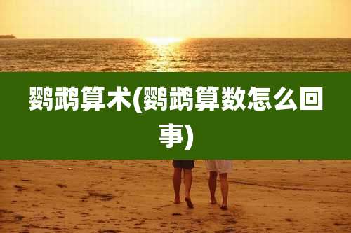 鹦鹉算术(鹦鹉算数怎么回事)