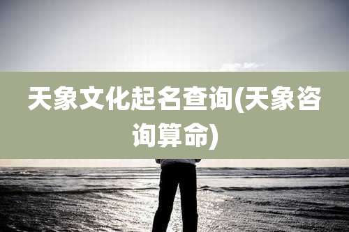 天象文化起名查询(天象咨询算命)