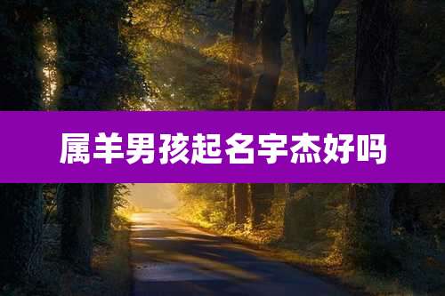 属羊男孩起名宇杰好吗