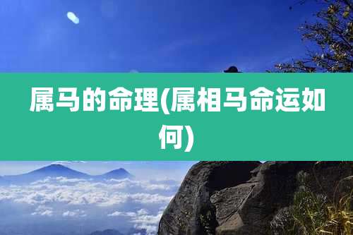 属马的命理(属相马命运如何)