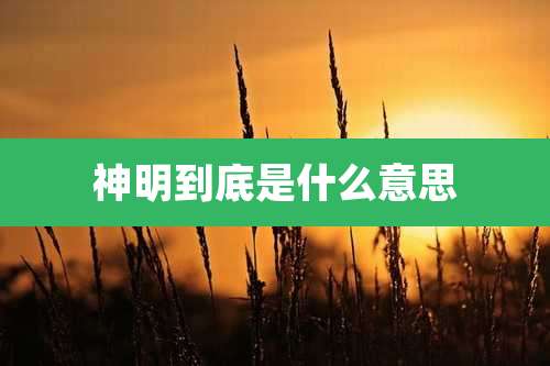 神明到底是什么意思