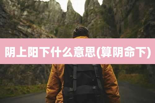 阴上阳下什么意思(算阴命下)