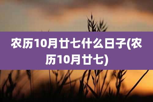 农历10月廿七什么日子(农历10月廿七)