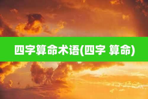 四字算命术语(四字 算命)