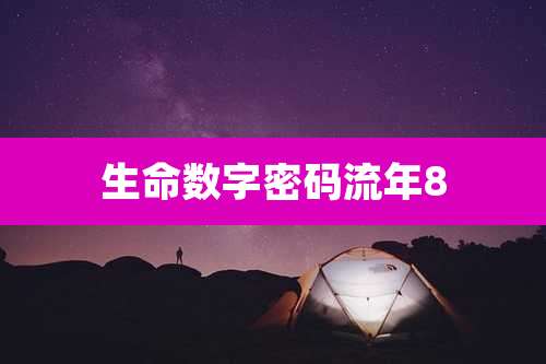 生命数字密码流年8
