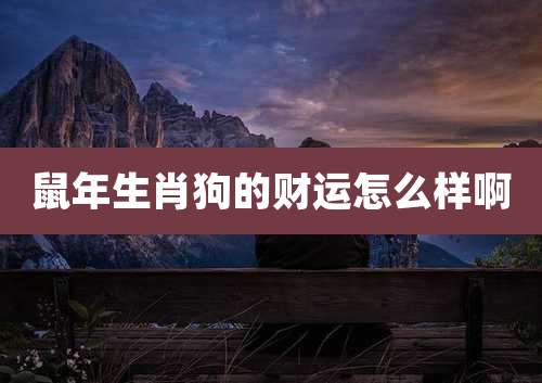 鼠年生肖狗的财运怎么样啊