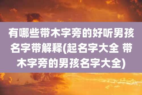 有哪些带木字旁的好听男孩名字带解释(起名字大全 带木字旁的男孩名字大全)