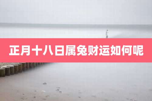 正月十八日属兔财运如何呢