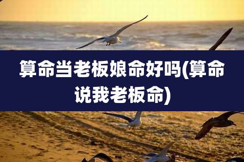 算命当老板娘命好吗(算命说我老板命)