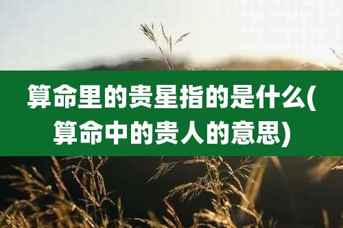 算命里的贵星指的是什么(算命中的贵人的意思)