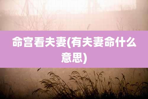 命宫看夫妻(有夫妻命什么意思)