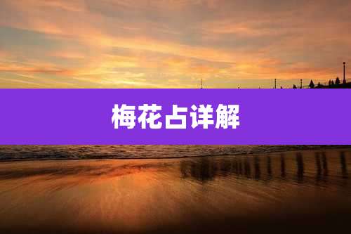梅花占详解