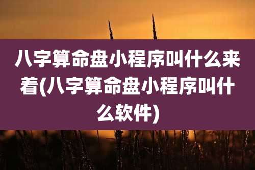 八字算命盘小程序叫什么来着(八字算命盘小程序叫什么软件)