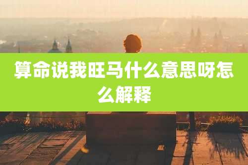 算命说我旺马什么意思呀怎么解释