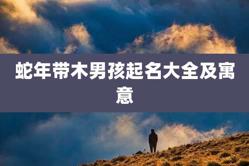 蛇年带木男孩起名大全及寓意