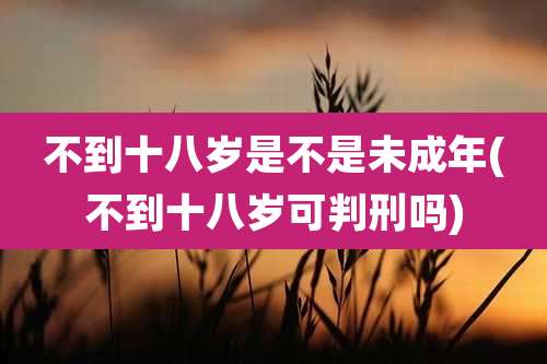 不到十八岁是不是未成年(不到十八岁可判刑吗)