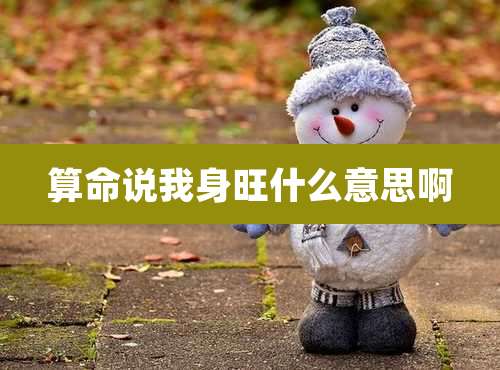 算命说我身旺什么意思啊