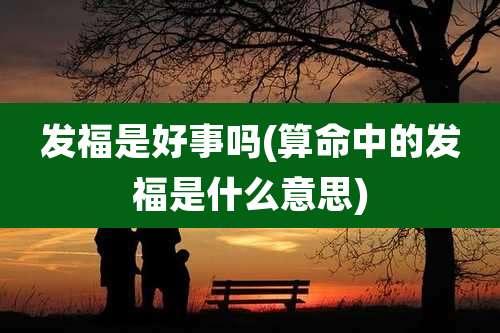 发福是好事吗(算命中的发福是什么意思)