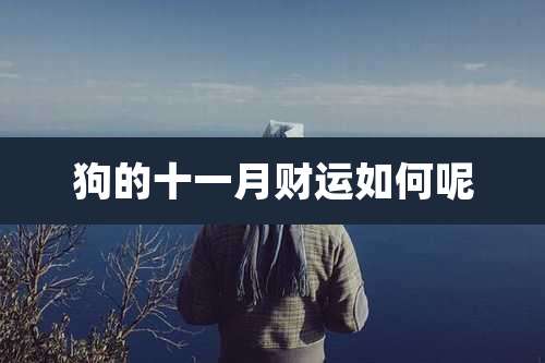 狗的十一月财运如何呢