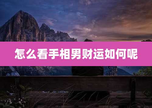 怎么看手相男财运如何呢