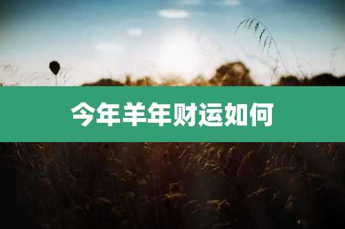 今年羊年财运如何