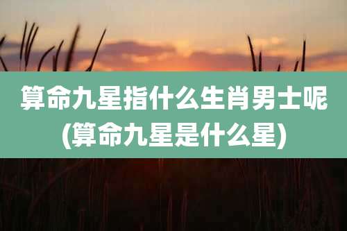 算命九星指什么生肖男士呢(算命九星是什么星)
