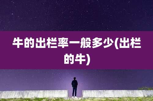 牛的出栏率一般多少(出栏的牛)