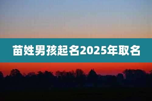 苗姓男孩起名2025年取名