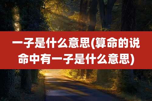 一子是什么意思(算命的说命中有一子是什么意思)