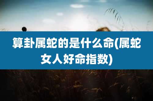 算卦属蛇的是什么命(属蛇女人好命指数)