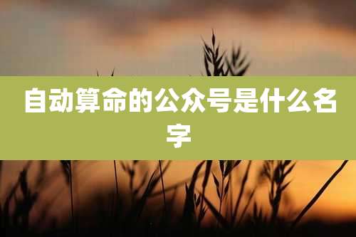 自动算命的公众号是什么名字