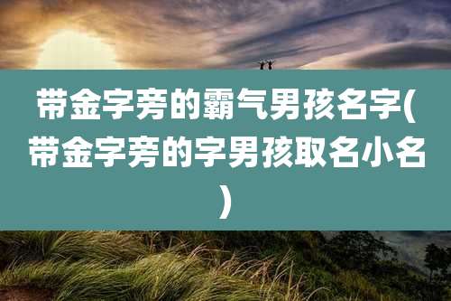 带金字旁的霸气男孩名字(带金字旁的字男孩取名小名)