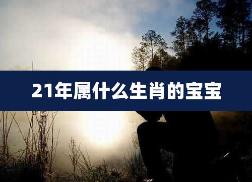 21年属什么生肖的宝宝