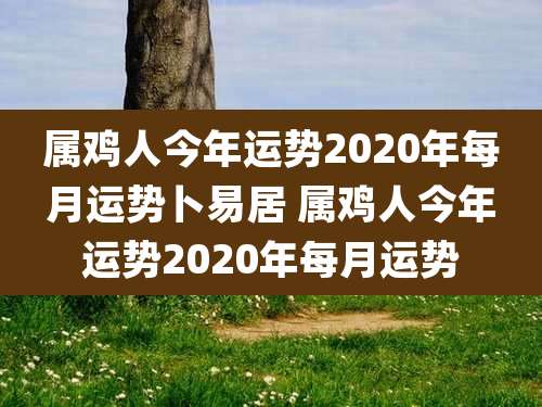 属鸡人今年运势2020年每月运势卜易居 属鸡人今年运势2020年每月运势