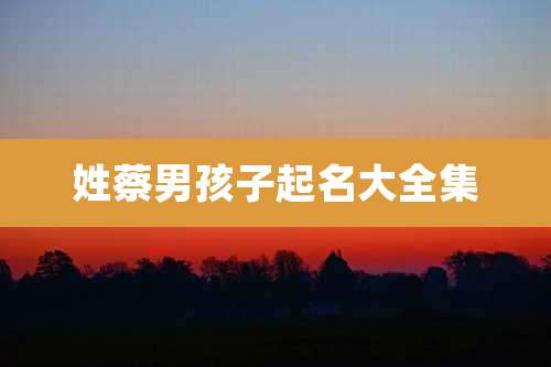 姓蔡男孩子起名大全集