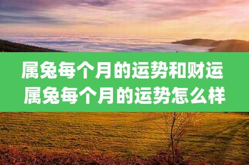 属兔每个月的运势和财运 属兔每个月的运势怎么样