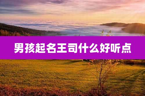男孩起名王司什么好听点