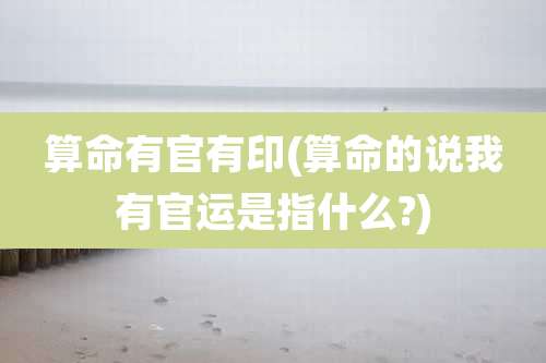 算命有官有印(算命的说我有官运是指什么?)