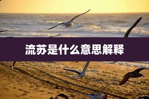 流苏是什么意思解释