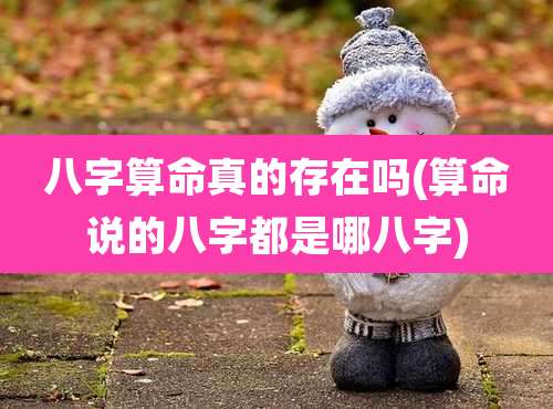 八字算命真的存在吗(算命说的八字都是哪八字)