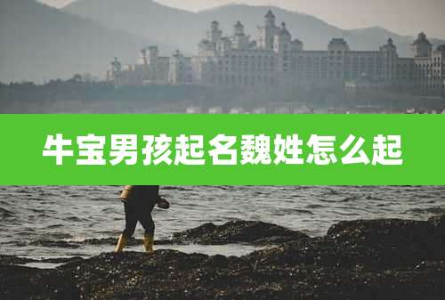 牛宝男孩起名魏姓怎么起