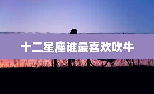 十二星座谁最喜欢吹牛